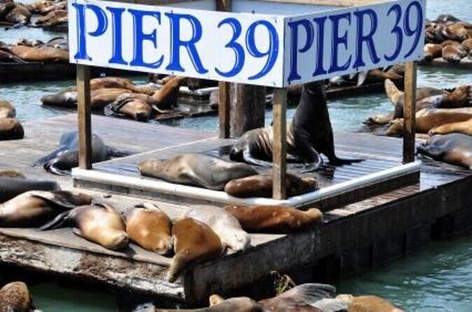 San Francisco Pier 39 Puzzling Adventure - A Deeper Look at the Pier 39 Puzzling Adventure