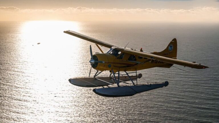 San Francisco: Seaplane Flight with Champagne - Who Should Consider This Tour?