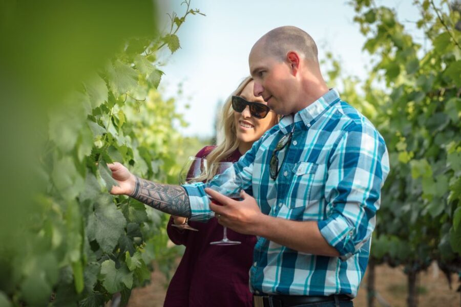 San Francisco: Sonoma Wine Country Tour with Tastings - The Experience With Guides: Why They Matter