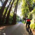 San Francisco to Muir Woods Cycling Tour - Practical Details and How to Make the Most of It