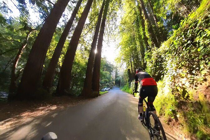 San Francisco to Muir Woods Cycling Tour - Practical Details and How to Make the Most of It
