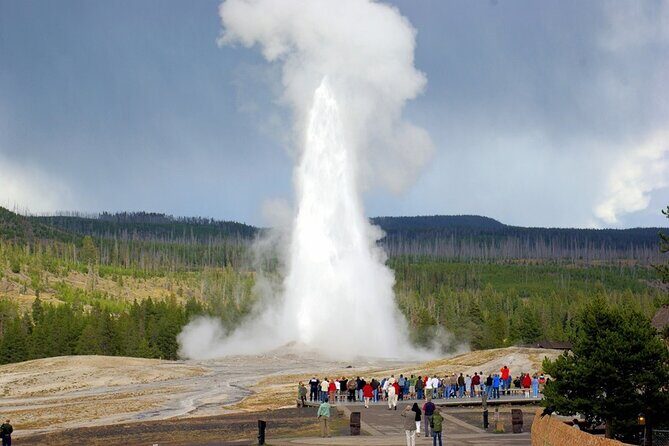 San Francisco to Yellowstone and Las Vegas 7-Day Tour - What Travelers Say
