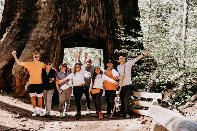 San Francisco to Yosemite One-Way Transfer - The Itinerary: What to Expect on the Day