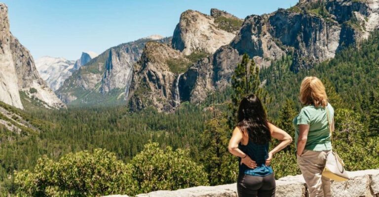 San Francisco: Yosemite National Park & Giant Sequoias Hike - What Makes This Tour Stand Out?