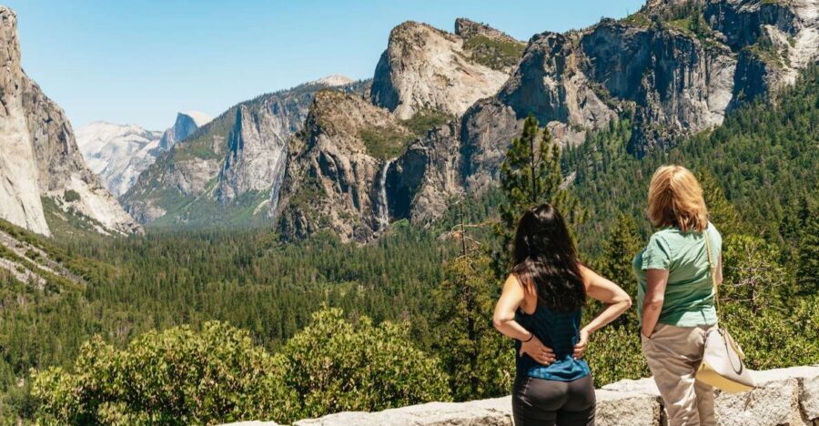 San Francisco: Yosemite National Park & Giant Sequoias Hike - What Makes This Tour Stand Out?