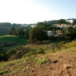 San Francisco's Glen Park and Glen Canyon: A Self-Guided Tour - Who Should Consider This Tour?