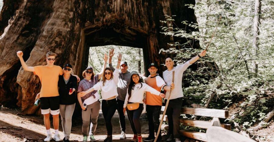 San Jose: Yosemite National Park and Giant Sequoias Trip - What to Expect: The Pros and Cons