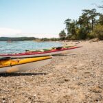 San Juan Island: 3-h Griffin Bay Tour - What the Tour Includes and What to Bring