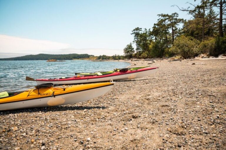 San Juan Island: 3-h Griffin Bay Tour - What the Tour Includes and What to Bring