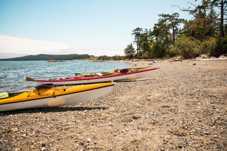 San Juan Island: 3-h Griffin Bay Tour - What the Tour Includes and What to Bring