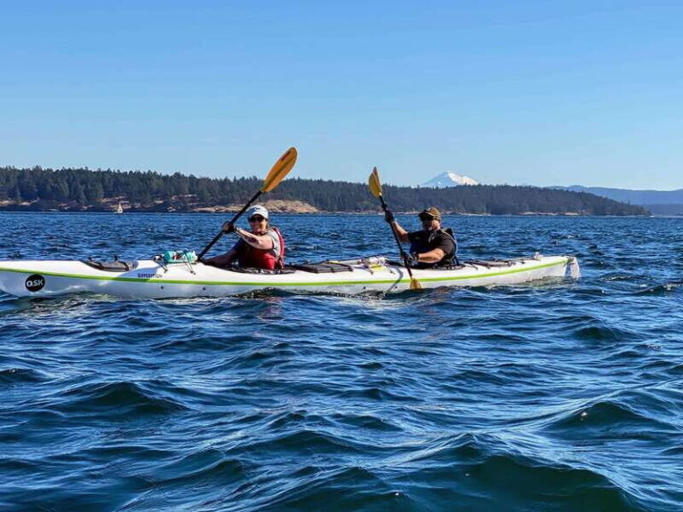 San Juan Island: Full Day Kayaking Tour with Lunch - In-Depth Itinerary Breakdown