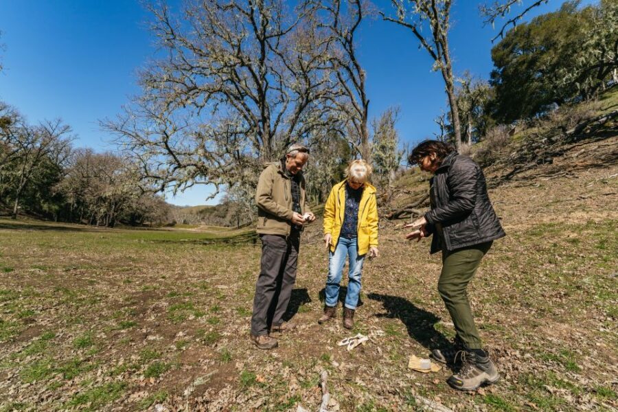 San Luis Obispo: Santa Lucia Guided Nature Tour - Authentic Experiences & Genuine Reviews