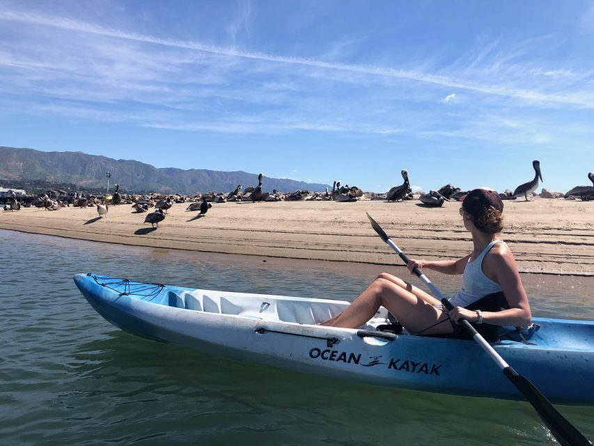 Santa Barbara: 1.5-Hour Harbor Kayak Tour - Who Will Love This Tour?