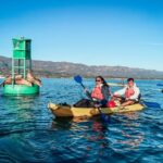Santa Barbara Harbor: Wildlife Kayak Tour (2 Hours) - The Scenic and Educational Elements