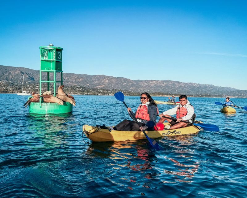Santa Barbara Harbor: Wildlife Kayak Tour (2 Hours) - The Scenic and Educational Elements