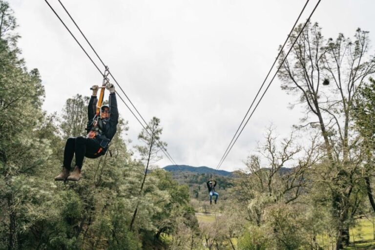 Santa Margarita: Margarita Adventure Wine Tasting & Zipline - Who Is This Tour Best For?