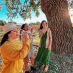 Santa Ynez: Private Wine Tour - In-Depth Look at Each Segment