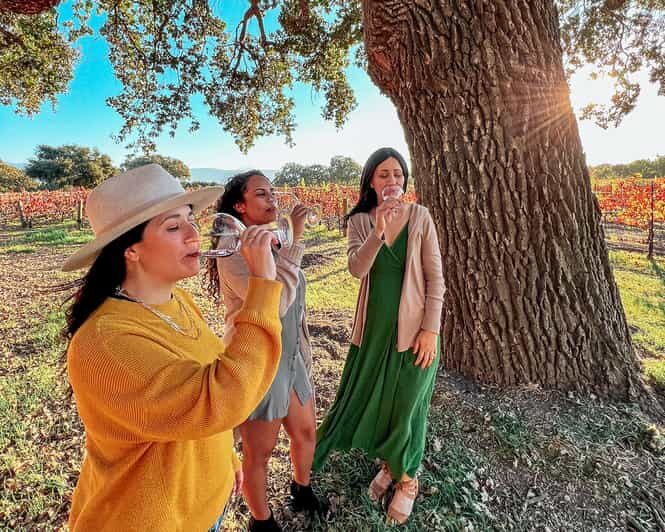 Santa Ynez: Private Wine Tour - In-Depth Look at Each Segment