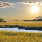 Savannah Coastal Dolphin Eco Tour - The Route and Its Variability