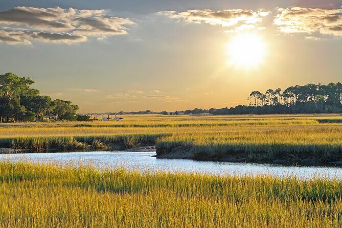 Savannah Coastal Dolphin Eco Tour - The Route and Its Variability