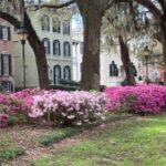 Savannah: Highlights Off the Beaten Path Guided Walking Tour - A Detailed Look at the Itinerary