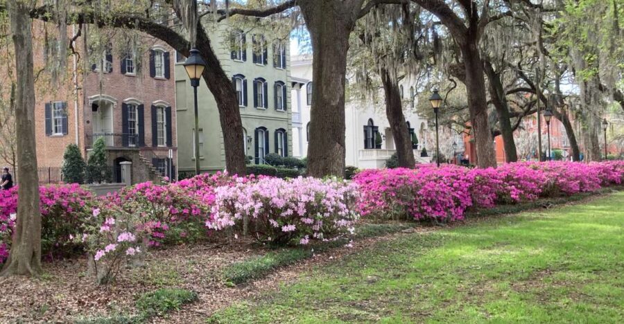 Savannah: Highlights Off the Beaten Path Guided Walking Tour - A Detailed Look at the Itinerary