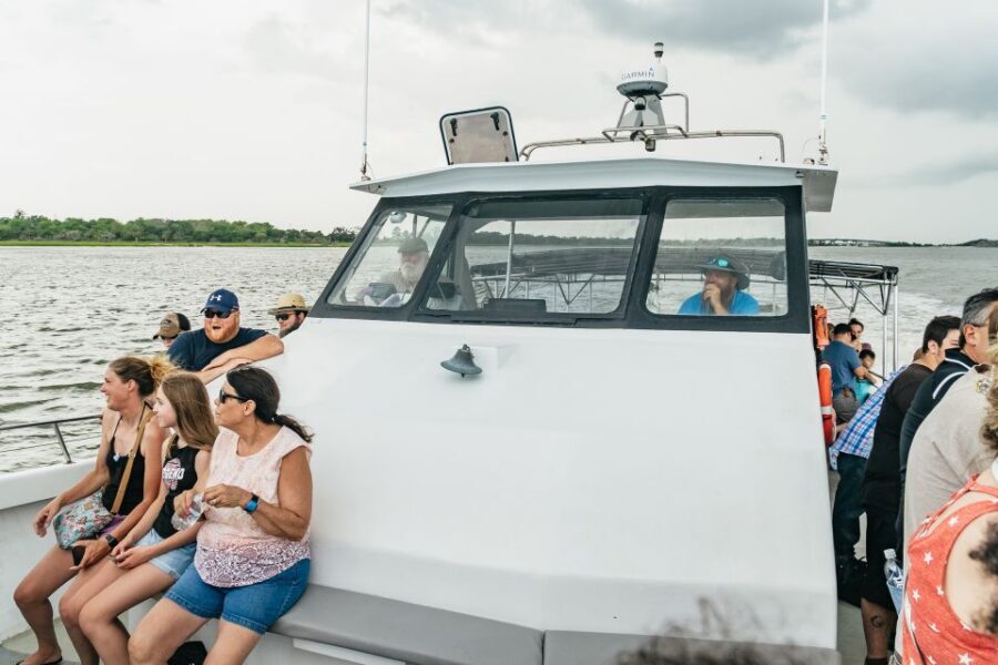 Savannah: Tybee Island Dolphin Tour - Is This Tour Worth It?