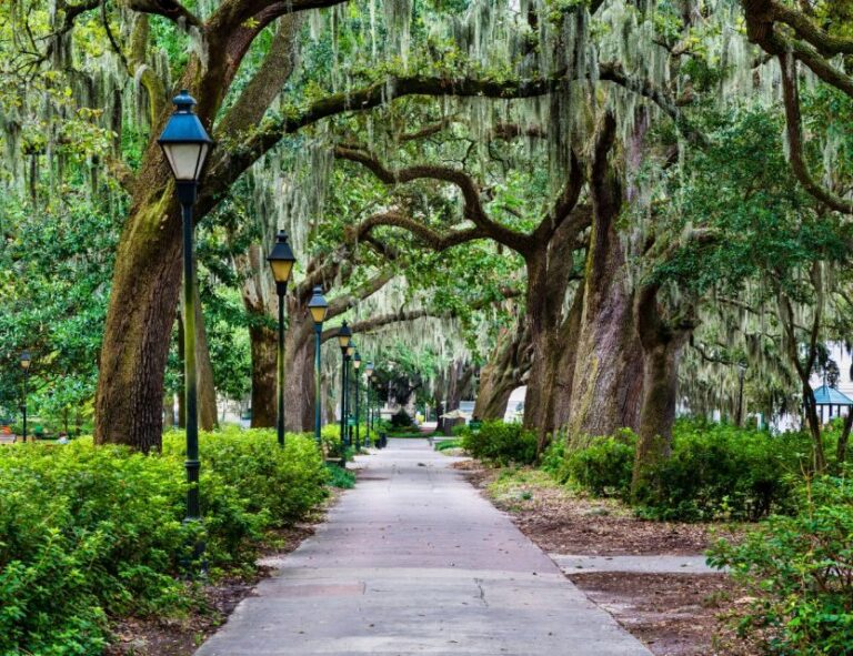 Savannah: 'We Shall Overcome' Black History Walking Tour - FAQ