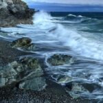 Scenic Coast and Wildlife Tour - The Itinerary: What to Expect on the Trail