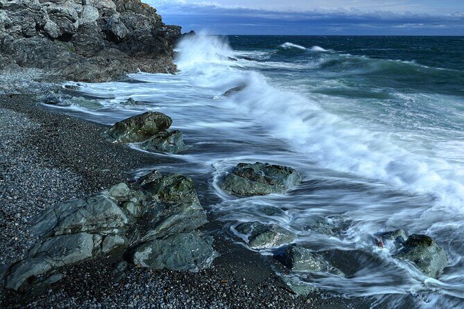 Scenic Coast and Wildlife Tour - The Itinerary: What to Expect on the Trail