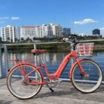 Scenic Palm Beach Guided Tour - The Itinerary in Detail