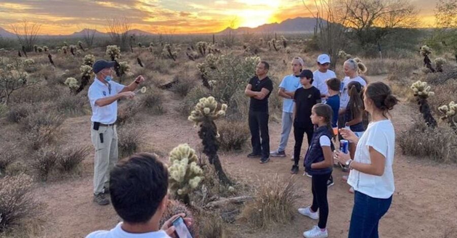 Scottsdale: McDowell Sonoran Preserve Hiking Tour - An In-Depth Look at the McDowell Sonoran Preserve Hiking Tour