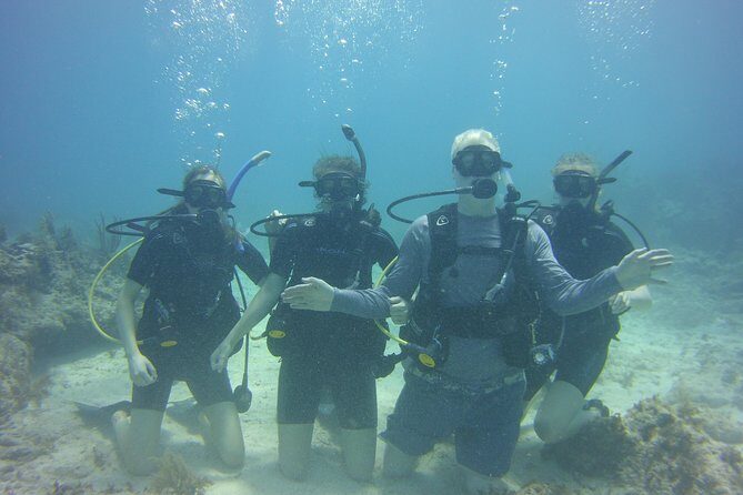 SCUBA Dive Key Largo Reef (min 6 divers) - The Value Proposition