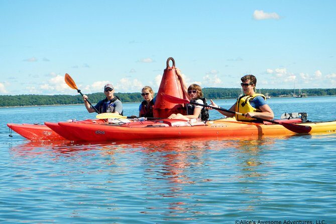 Sea Kayak to an Island Tour in Casco Bay - Authentic Experiences from Past Participants