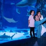 SEA LIFE Arizona Aquarium General Admission - Location, Accessibility, and Practicalities