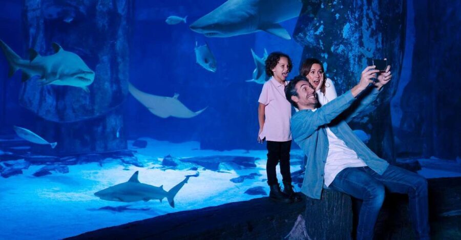 SEA LIFE Arizona Aquarium General Admission - Location, Accessibility, and Practicalities