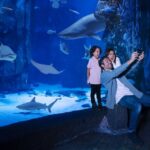 SEA LIFE Charlotte-Concord Aquarium General Admission - A Deep Dive into the Experience