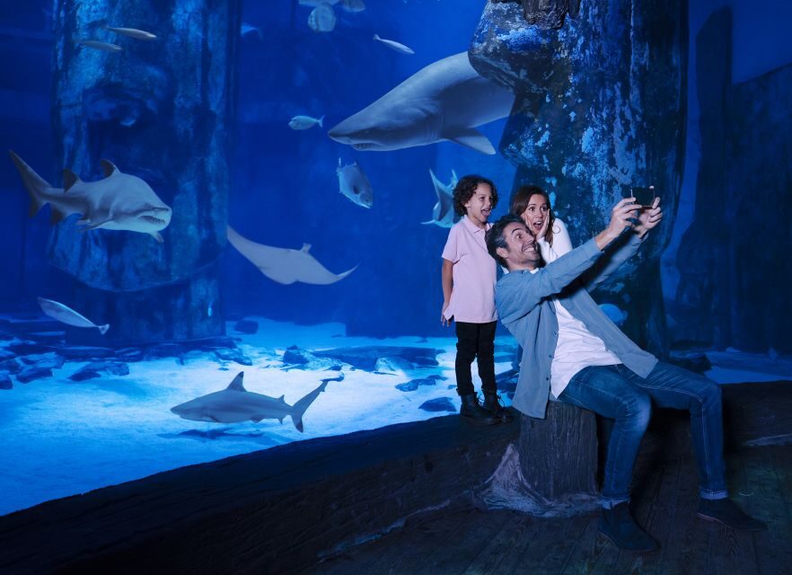 SEA LIFE Charlotte-Concord Aquarium General Admission - A Deep Dive into the Experience