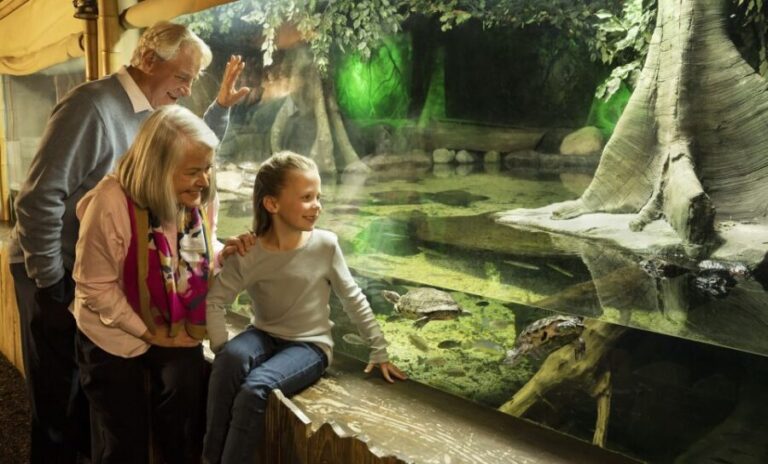 SEA LIFE Michigan Aquarium General Admission - Final Thoughts: Is SEA LIFE Michigan Worth It?