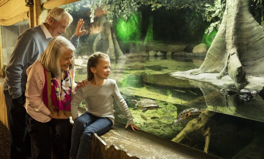 SEA LIFE Michigan Aquarium General Admission - Final Thoughts: Is SEA LIFE Michigan Worth It?