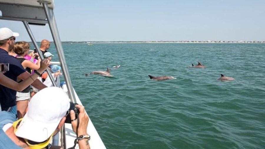 Sea Rocket Sunset & OC Harbor Cruise in Ocean City, MD - Authentic Insights from Reviews