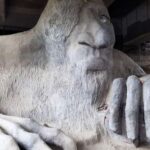 Seattle: 2-Hour Snapshots Tour - Who Should Consider This Tour?