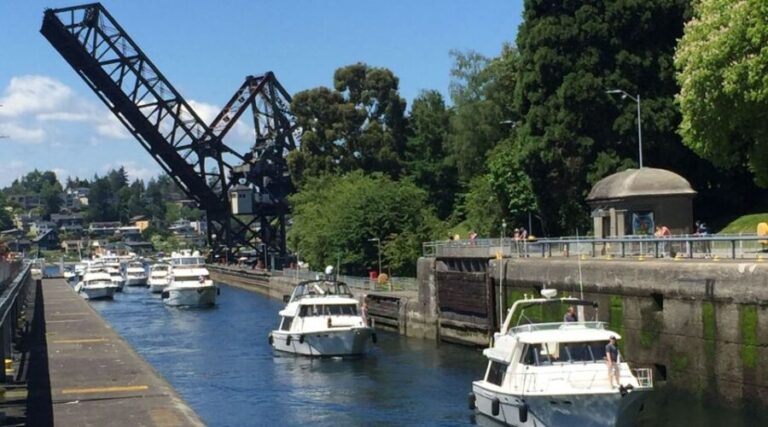 Seattle: 3-Hour City Highlights Tour - Who Will Love This Tour?