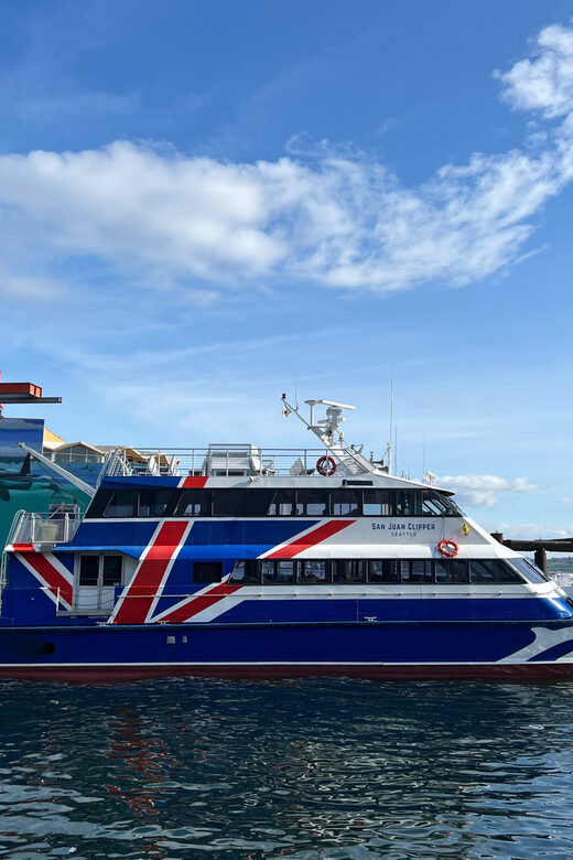 Seattle: Half-Day Wildlife and Whale Watching Cruise - What Makes This Tour Stand Out?