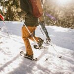 Seattle: Longmire in Mount Rainier Winter Day Tour - What Sets This Tour Apart?