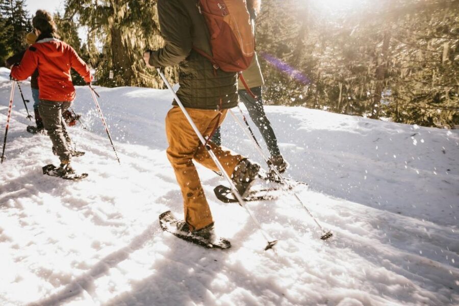 Seattle: Longmire in Mount Rainier Winter Day Tour - What Sets This Tour Apart?