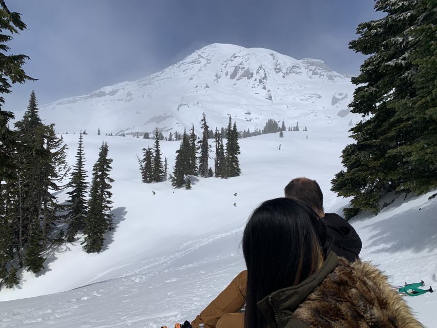 Seattle: Mt. Rainier Hiking w/ Waterfalls, Glaciers & Trees - How It Compares to Other Options