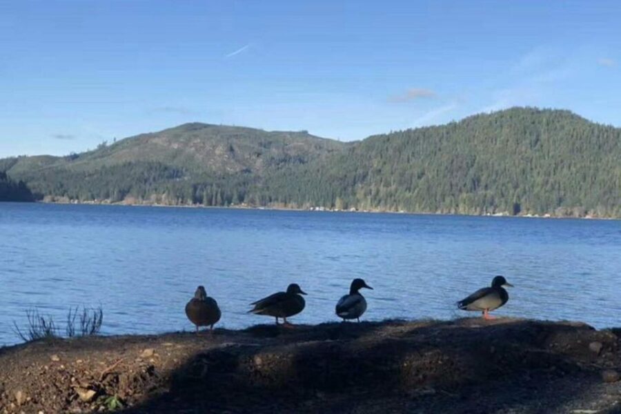 Seattle: Olympic National Park Day Tour with Scenic Ferries - The Journey Begins: Pickup & Ferry Ride
