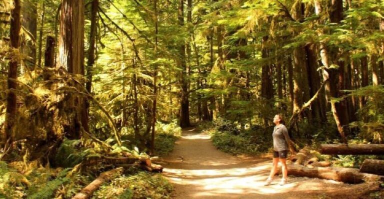 Seattle: Olympic National Park Small-Group Tour - Transportation & Comfort