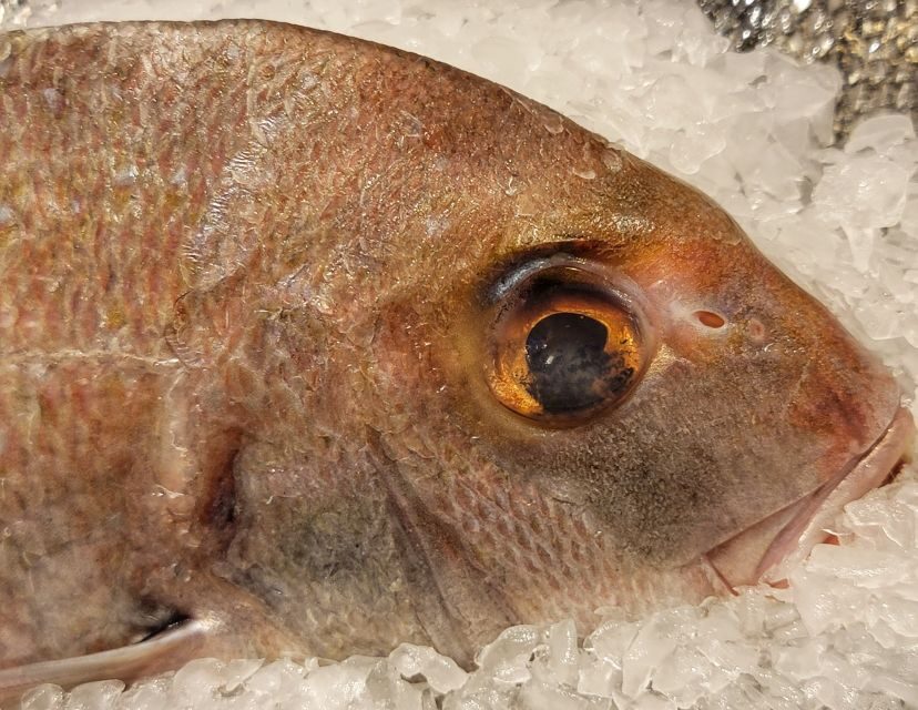Seattle: Pike Place Market Seafood Tasting Tour - What To Expect During the Tour